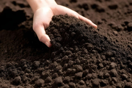 How to Make Super Soil: The Ultimate Guide for Gardeners