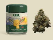 CBX | Jet Lag OG Premium Cannabis Flower