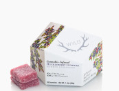 WYLD - Huckleberry Hybrid Enhanced Gummies 100mg