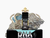 PLUG™ DNA: King Louie