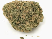 TOP SHELF - Zkittles (indoor) | 28g