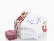 WYLD - Raspberry Sativa Enhanced Gummies 100mg