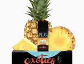 PLUG™ EXOTICS: Piña Cooler