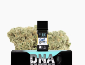 PLUG™ DNA: Blue Dream