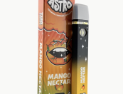 Mango Nectar - 2G Disposable