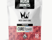 Kush Mints - 3.5G Premium Flower