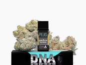 PLUG™ DNA: Pineapple Express