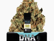 PLUG™ DNA: Super Lemon Haze