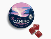 Camino Wild Berry "Chill" Gummies