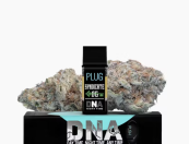 PLUG™ DNA: Syndicate OG