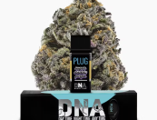 PLUG™ DNA: Sugar Daddy Purple